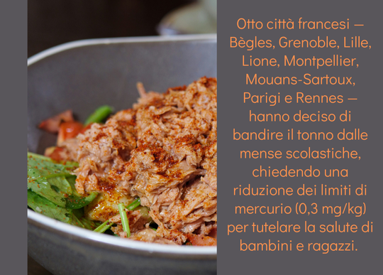 tonno mense francia.png